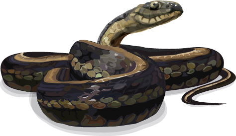 Giant Garter Snake