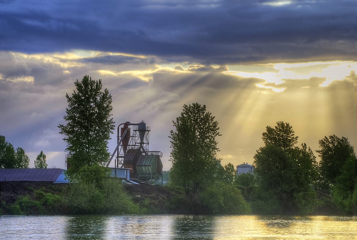 Alder Creek Restoration Project