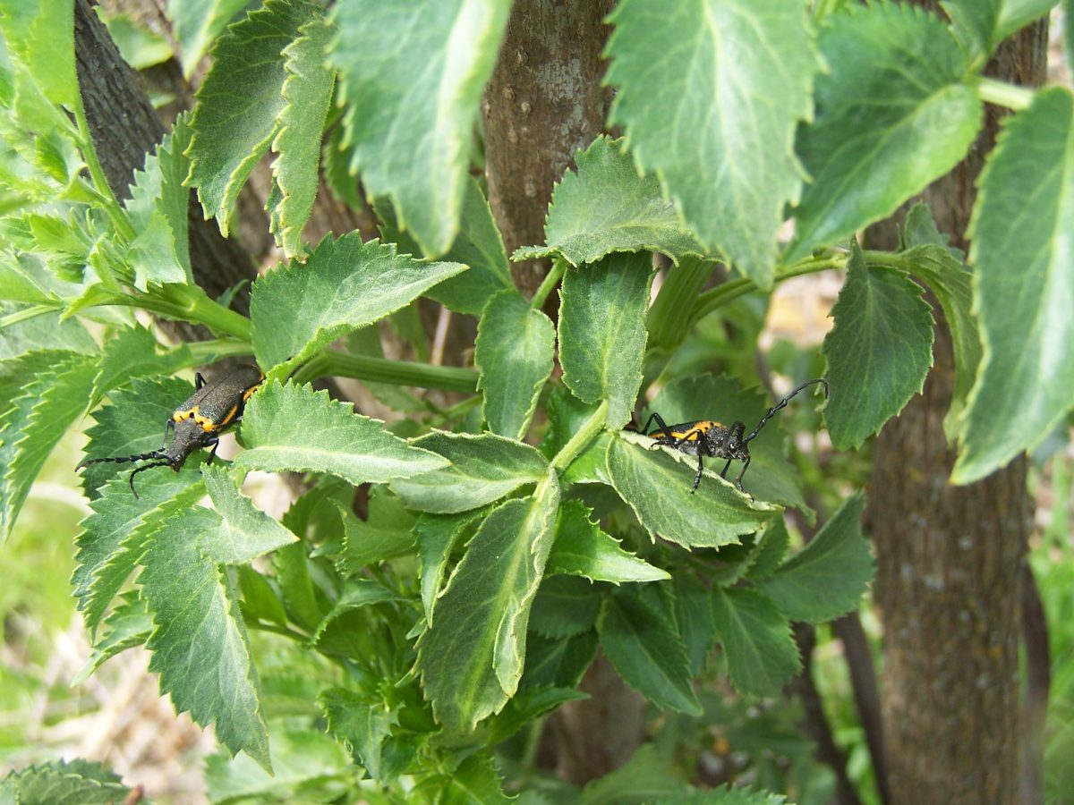 Conservation Bank Updates