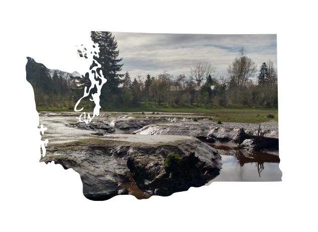 Washington background